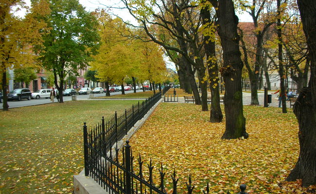 du lịch levoca - mùa thu