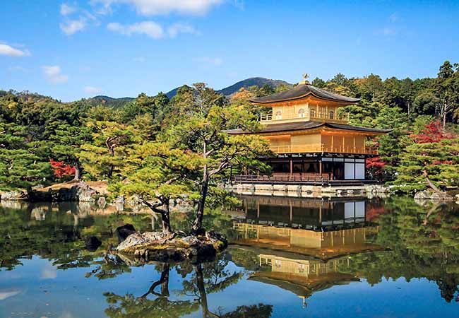 Tour du lịch Nhật Bản giấc mơ hoa Anh Đào ( 6 ngày 5 đêm )